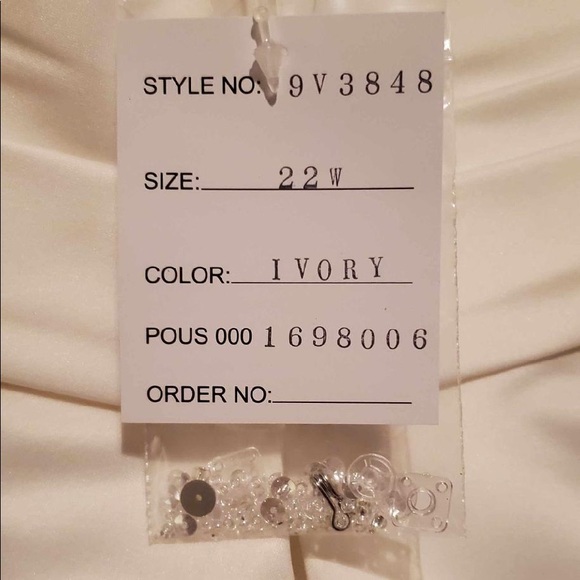 David’s Bridal Plus Size Wedding Dress - Picture 5 of 7